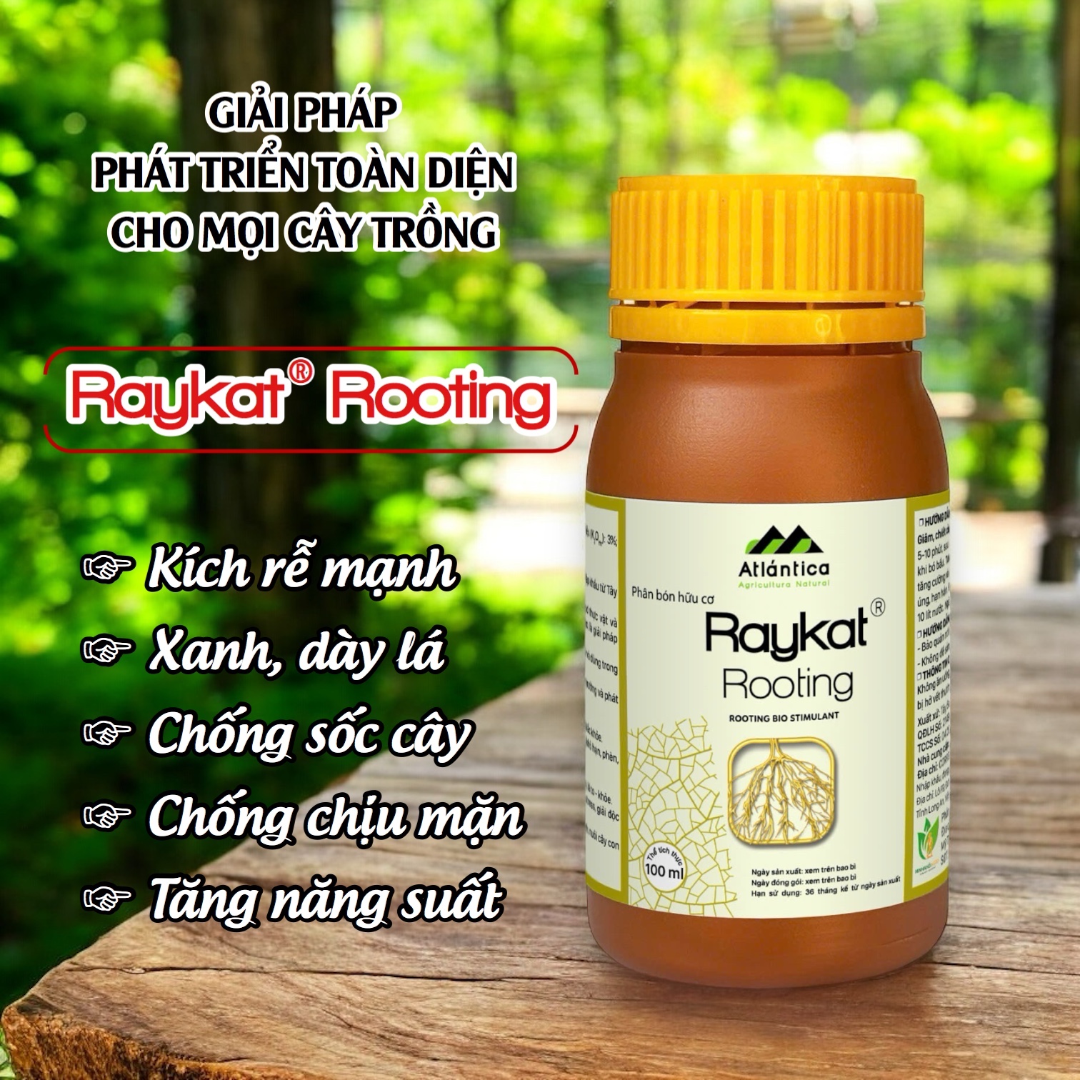 Phân bón sinh học hữu cơ Raykat Rooting - Chai 100ml